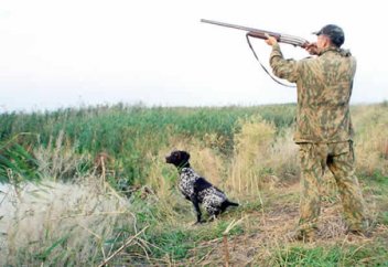 Шоқпармен ұрып алған аңның еті адал ма?