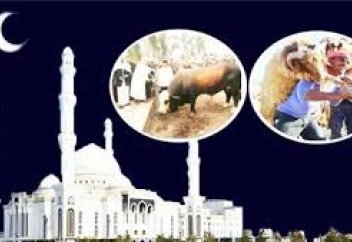 ҚҰРБАН ШАЛУҒА ҚАТЫСТЫ ҚМДБ ТҮСІНДІРМЕСІ (инфографика)