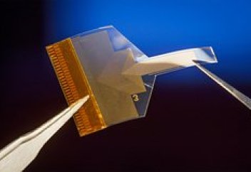 Нейрокомпьютер интерфейсіне арналған ми чипі жасалды