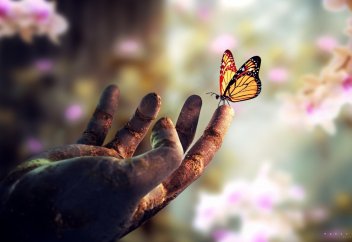 Жизнь сложна от простоты