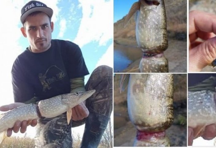 Канадец поймал рыбу, выросшую в пластиковом кольце от бутылки