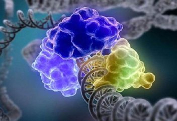 Ғалымдар семіздік генін бұғаттауды үйренді