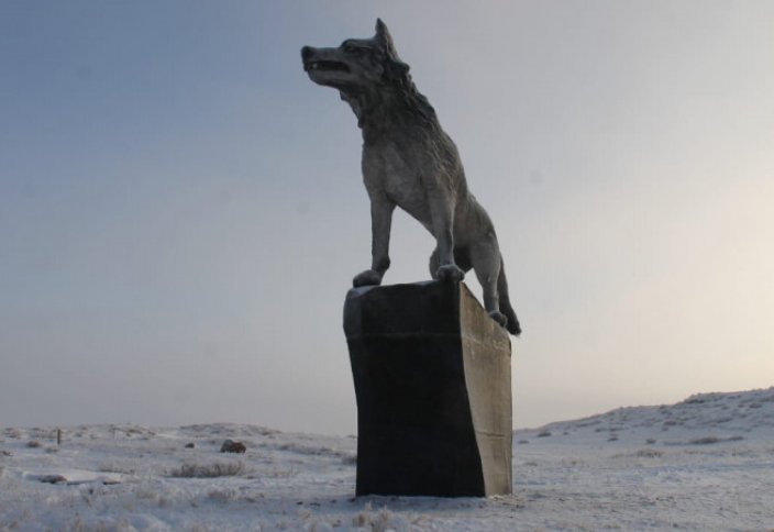 9-метровую скульптуру волка установили в Карагандинской области (видео+фото)