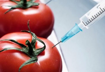 Қазақстанда ГМО-ны қолдануға заңмен тыйым салынды