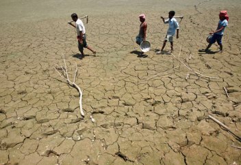 Құрғақшылықтан 1000-нан аса фермер өз-өзіне қол жұмсаған