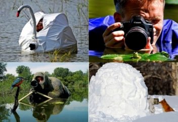 Әдемі сәтті жібермес үшін неге бармайды?