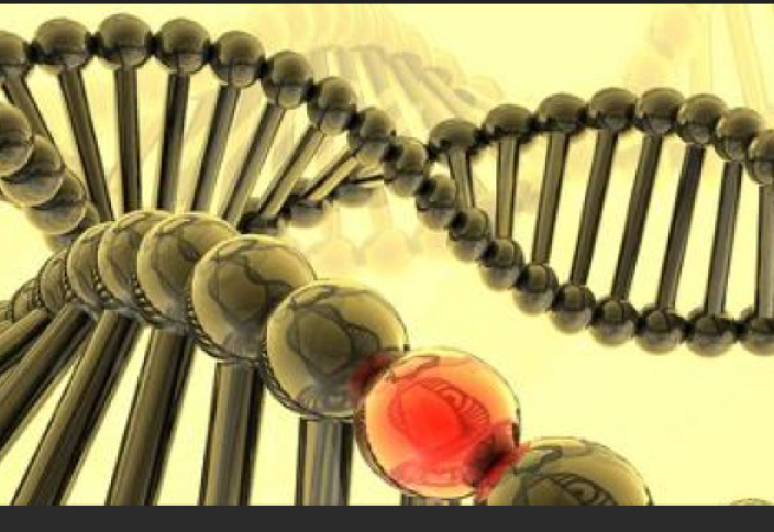 Жапон ғалымдары Даун синдромын емдеудің жаңа әдісін тапты