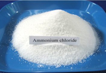 Ғалымдар тағы бір табиғи дәмді анықтады