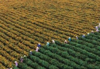 Китай предупреждает, что протекционизм США угрожает ключевому сотрудничеству в сельском хозяйстве