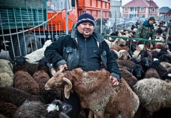 «Бір қой бір адамның ғана құрбанына жарамды» дегенге дәлел бар ма?