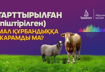 Ісек қой, серке (піштірілген малдар) құрбандыққа жарамды ма?