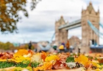 Виды  Лондона в тумане.