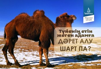 Түйенің етін жеген адамға дәрет жаңалау керек пе?