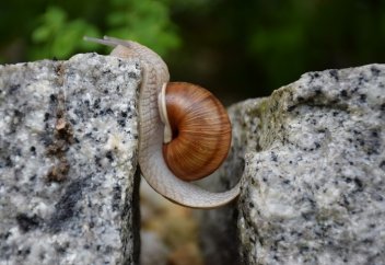 Какие факторы сдерживают экономический рост стран Центральной Азии