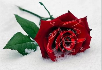 КӨЗДЕРІМ МЕНІҢ, ҚАН АҚҚАНША ЖЫЛАҢДАР