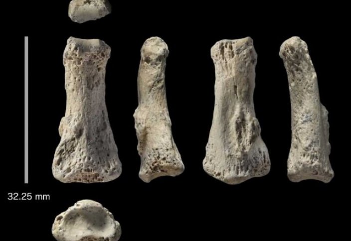 Найдены кости, которые меняют человеческую историю
