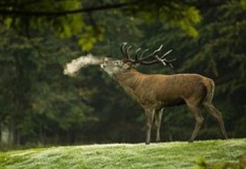 Ученые предупредили о возможной пандемии из-за сибирских зомби-вирусов
