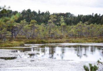 Күллі әлем қуаңшылыққа бет алып барады