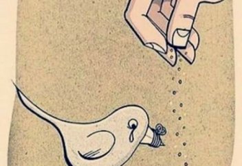 Жақсы көрудің айырмашылығы (видео)