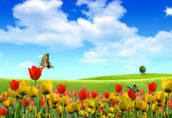 Адалдықтың  ақ бесігі - жер-ана...