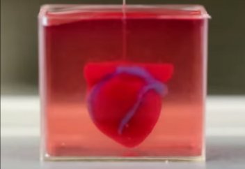 Адамзат жүрек жасауды үйренді ме - Израиль ғалымдары әлем назарында (фото+видео)