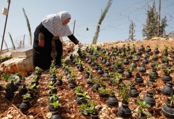 Израиль қаруларынан гүл жарып шығуда...