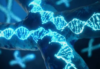 Гарвард ғалымы генетткалық тұрғыдан сай келетін адамды табуға көмектесетін қосымша жасайды