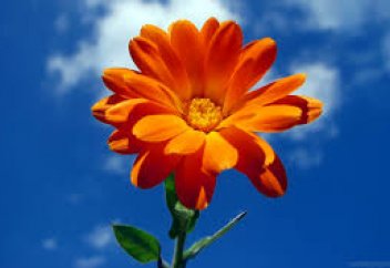 3 вещи, которые сделают вашу веру совершенной