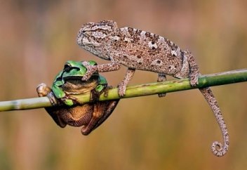 Как красиво поставить обидчика на место без грубости и скандалов