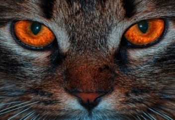 Эти ЛЮДИ будут вергнуты в АД! | БАРАКАТ - мусульманский канал