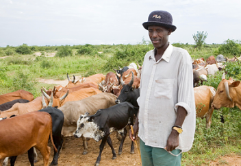 Африкалықтар бананнан энергия алуды үйренді