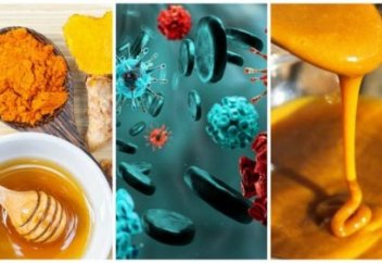 Ғалымдар антибиотикке қарағанда балдың емдік қасиеті жоғары болатынын анықтады