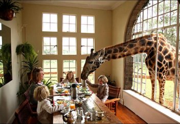 Жабайы жануарларға қонақ үй ашылды