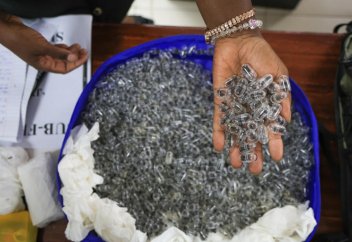 Африкадан құмысқаларды ұрлап жатыр