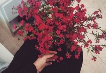 Әйел заты шыны тектес