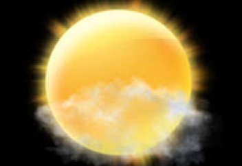 Ученые научились делать пластик из кожуры апельсинов и остатков свеклы