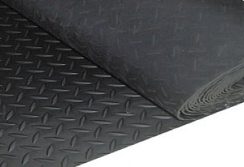 В Казахстане будут строить "резиновые" дороги