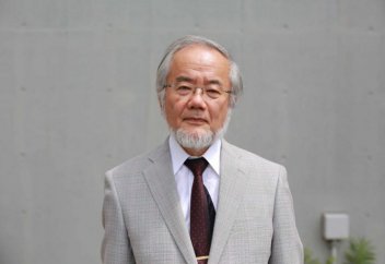 Пост два раза в неделю оздоровит, омолодит и продлит вашу жизнь