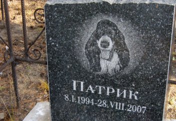 Шымкенттік шенеуніктер ит-мысықты жерлеуге арналған моланы заңдастырмақ