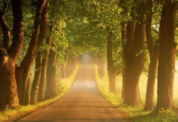 Как я пришла в Ислам? (Из мрака невежества к свету Ислама)