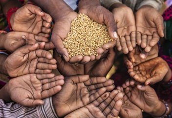 Более 13 миллионов человек страдают от отсутствия продовольственной безопасности — GSS