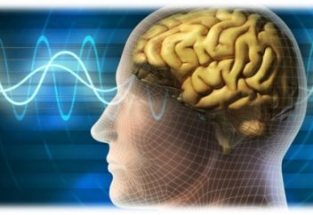 Что такое ВАСВАС и как бороться с наущениями?