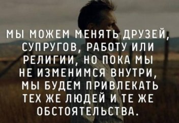 Стадо Овец: Социальный Эксперимент, Который Расскажет Вам Все О Человеческой Натуре (видео)