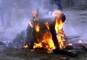 Мыстан аулау әлі тоқтаған жоқ