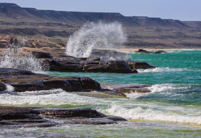 Часть акватории Каспийского моря объявят заповедной зоной