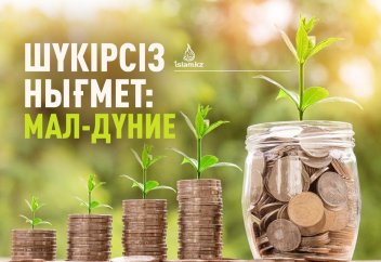 Шүкірі жоқ нығмет: Мал-дүние.