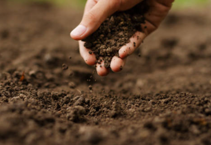 Жерді жалға алу тәртібі өзгерді: енді кімдерге беріледі?