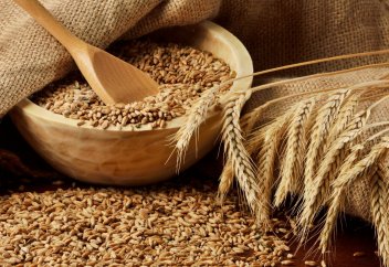 Же­ген қо­ре­гі­міз де де­не­міз­де қай­та ті­рі­луде