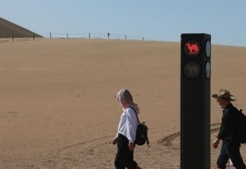 Разные: В Китае установили светофор для верблюдов. Фото