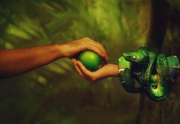 Существование Адама и Евы доказали генетики